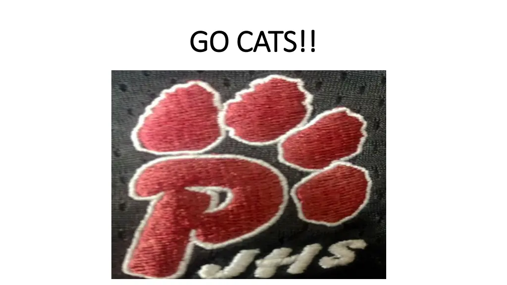 go cats go cats