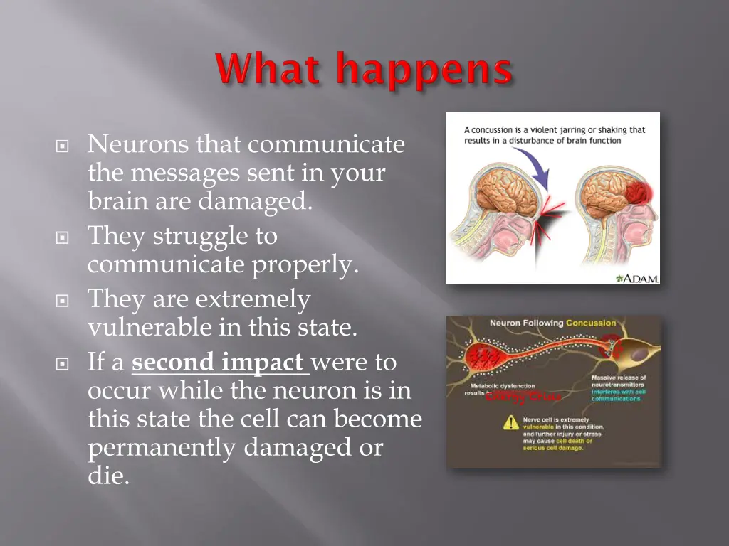 neurons that communicate the messages sent