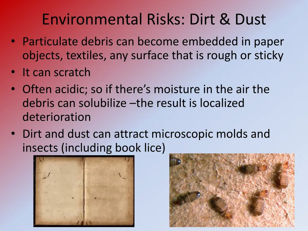 environmental risks dirt dust particulate debris