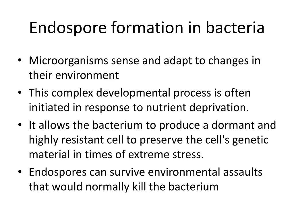 endospore formation in bacteria