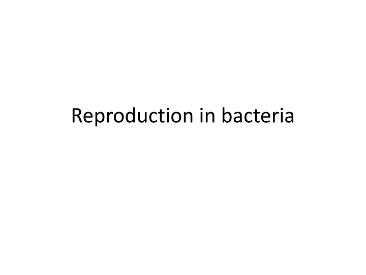 reproduction in bacteria