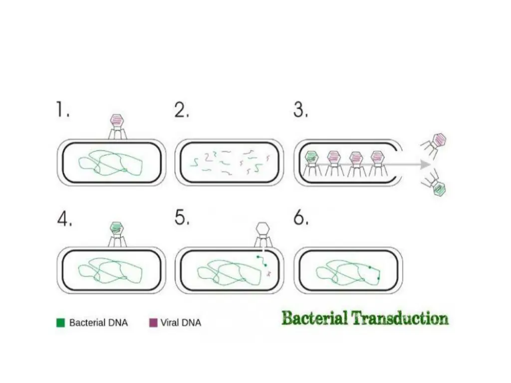 slide19