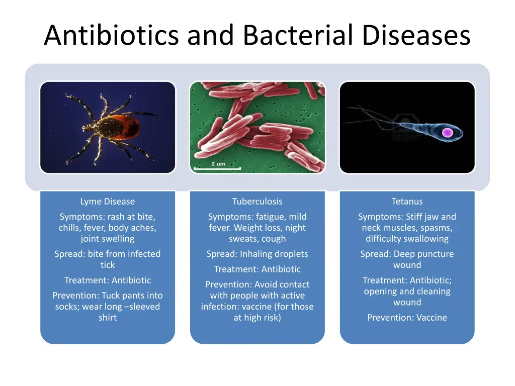 antibiotics and bacterial diseases