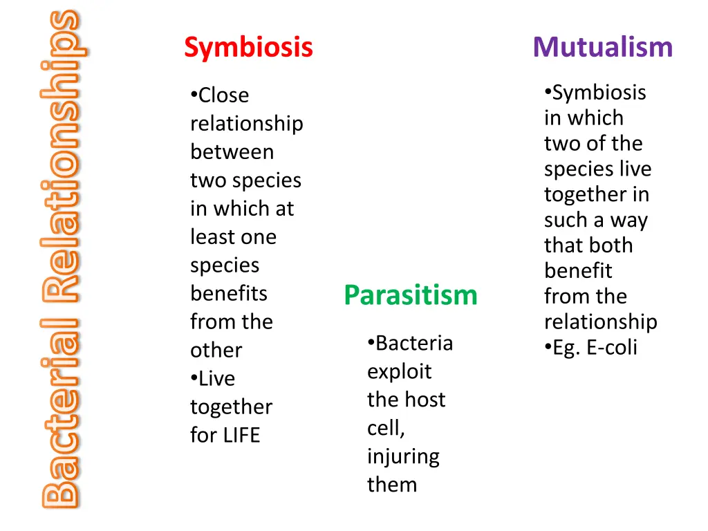 bacterial relationships