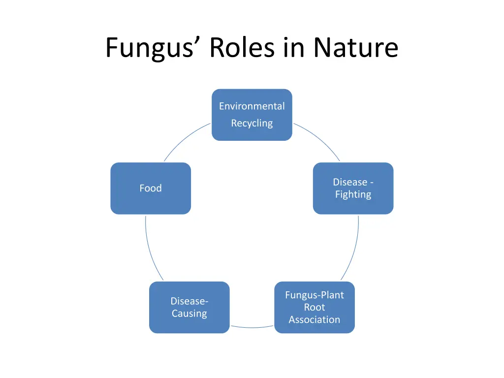 fungus roles in nature