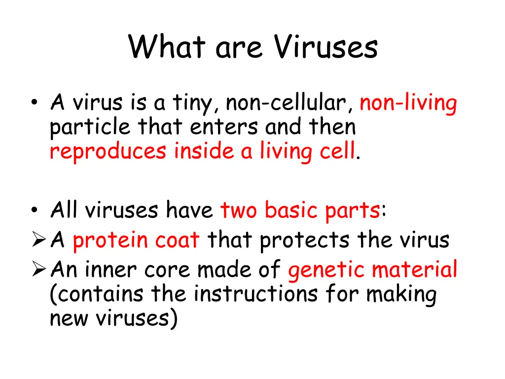 what are viruses