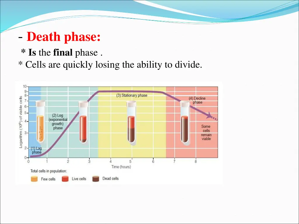 death phase is the final phase cells are quickly