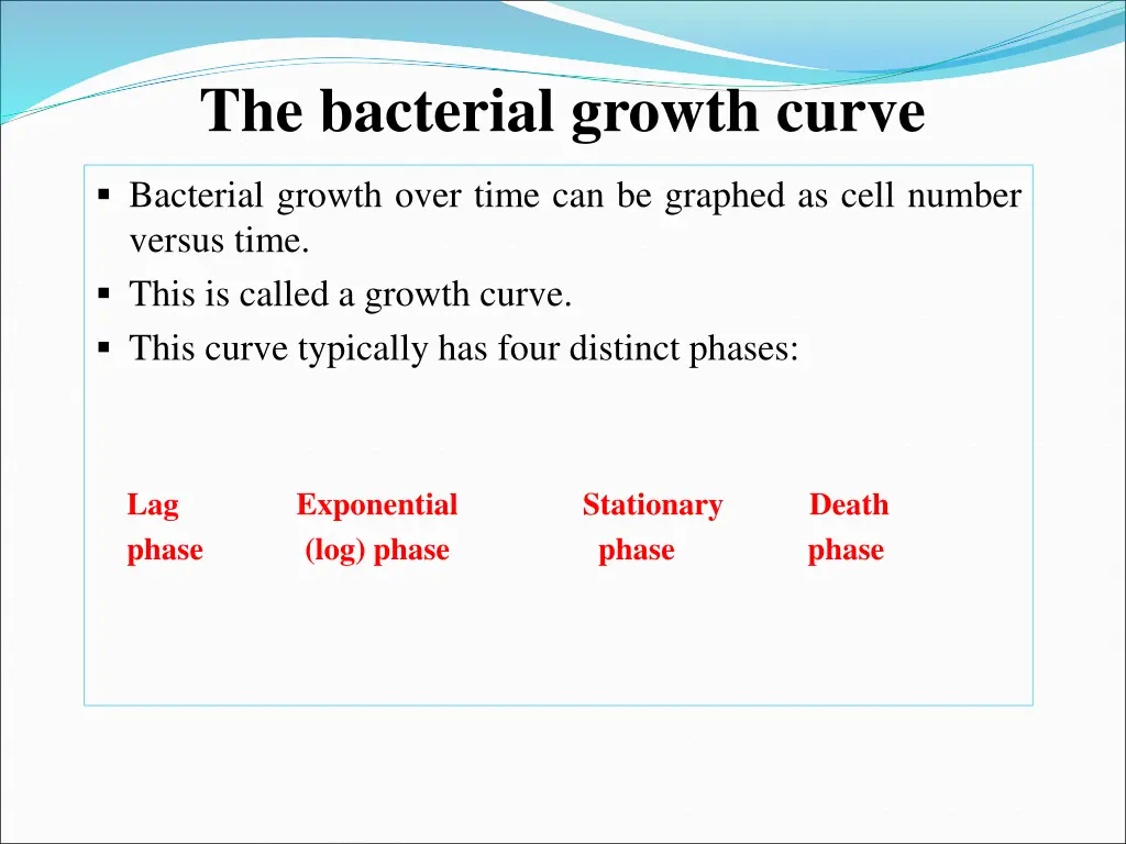 the bacterial growth curve