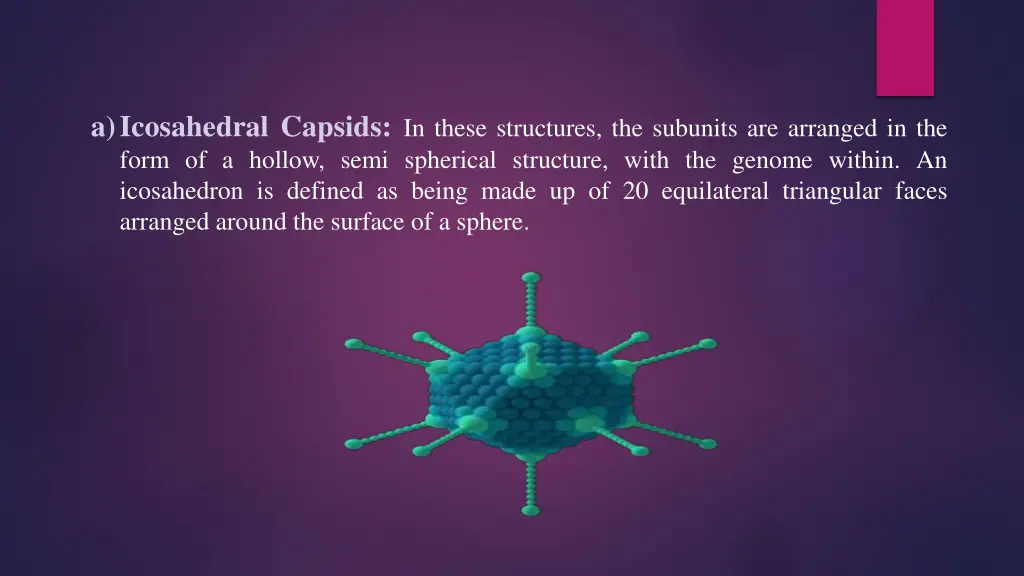 a icosahedral capsids in these structures