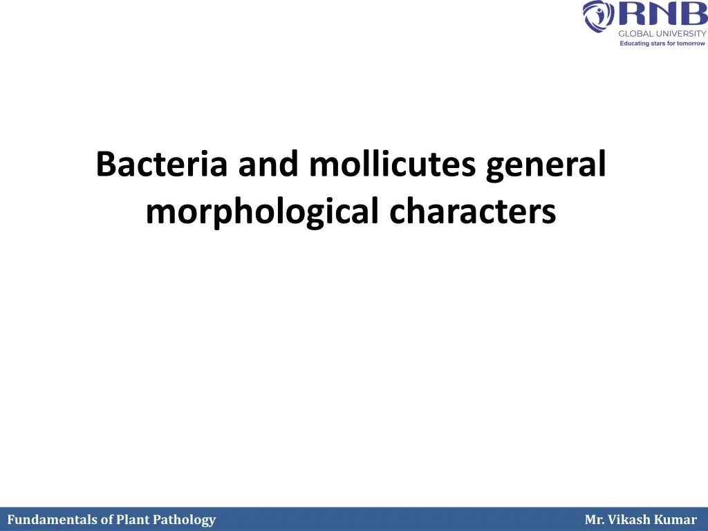 bacteria and mollicutes general morphological