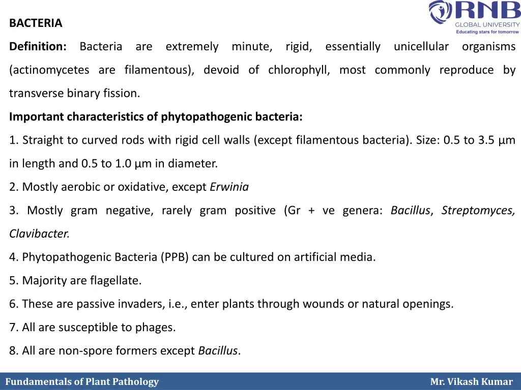 bacteria