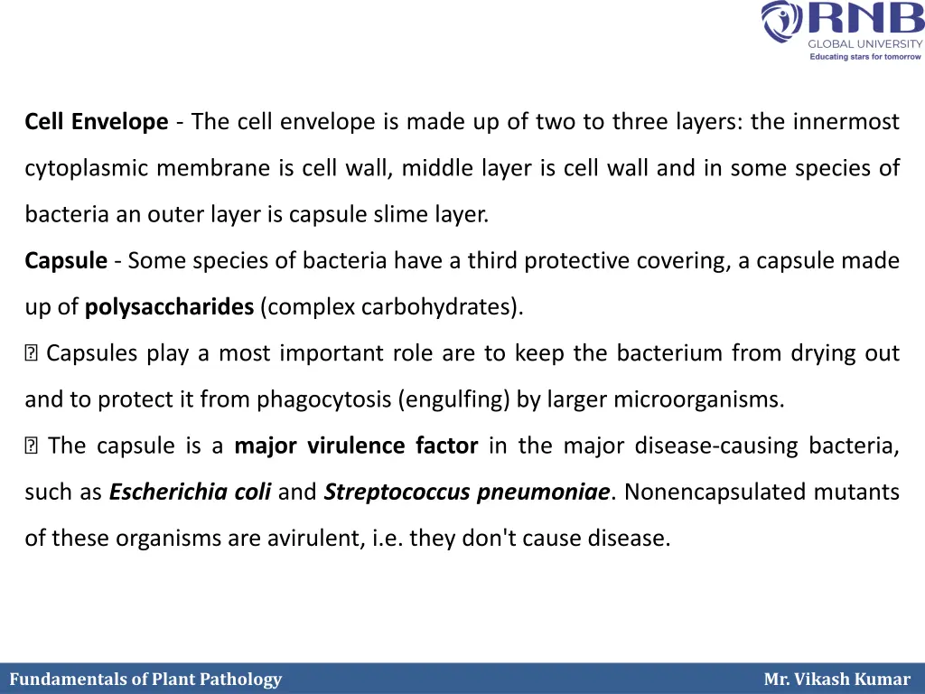 cell envelope the cell envelope is made