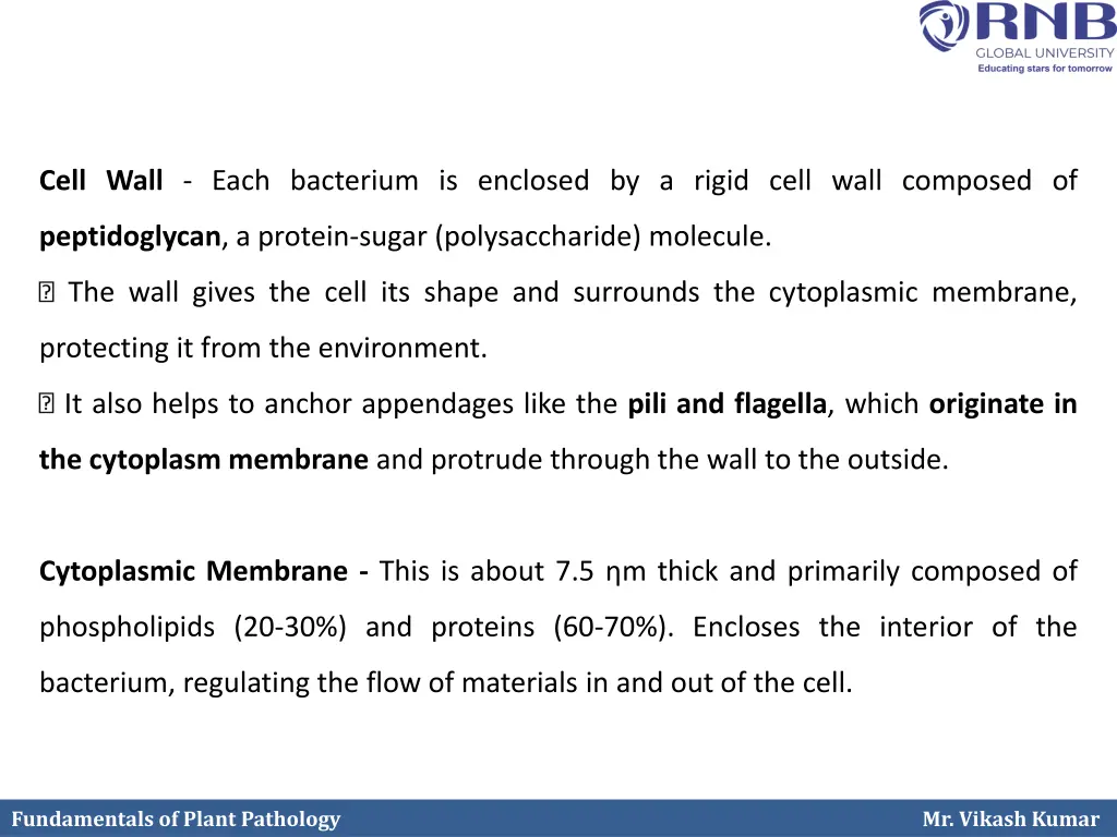 cell wall each bacterium is enclosed by a rigid