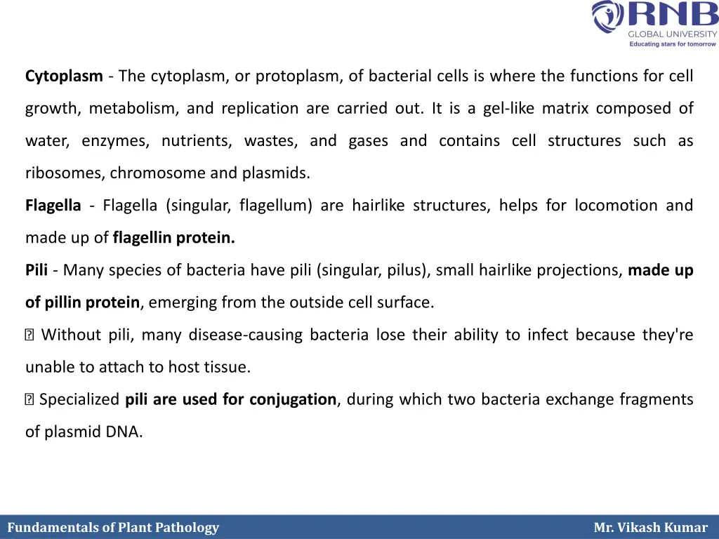 cytoplasm the cytoplasm or protoplasm