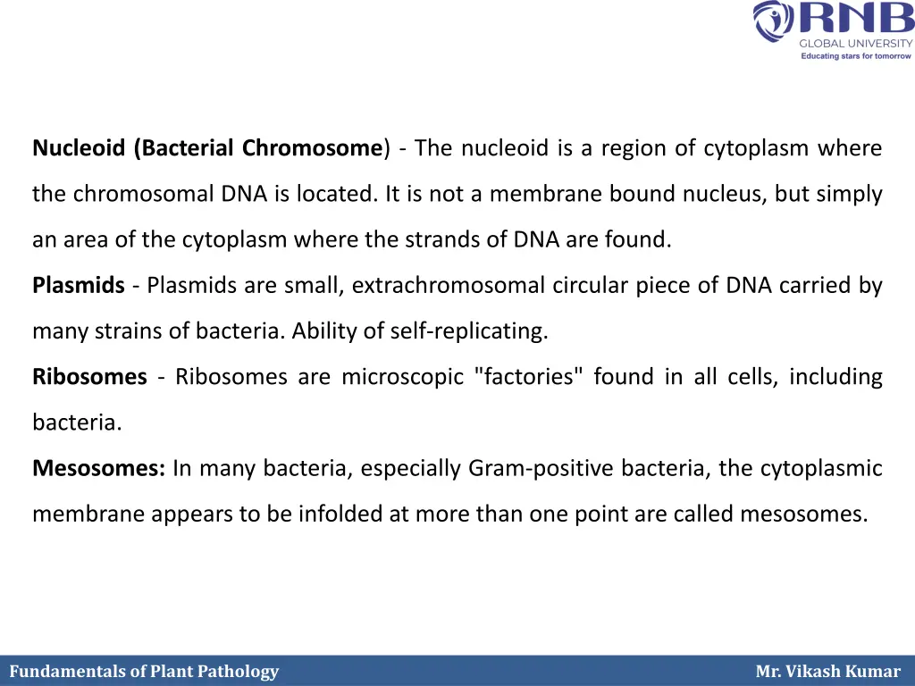 nucleoid bacterial chromosome the nucleoid