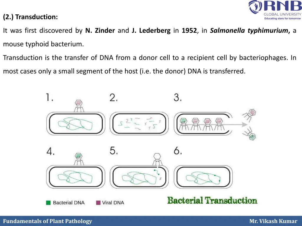 2 transduction