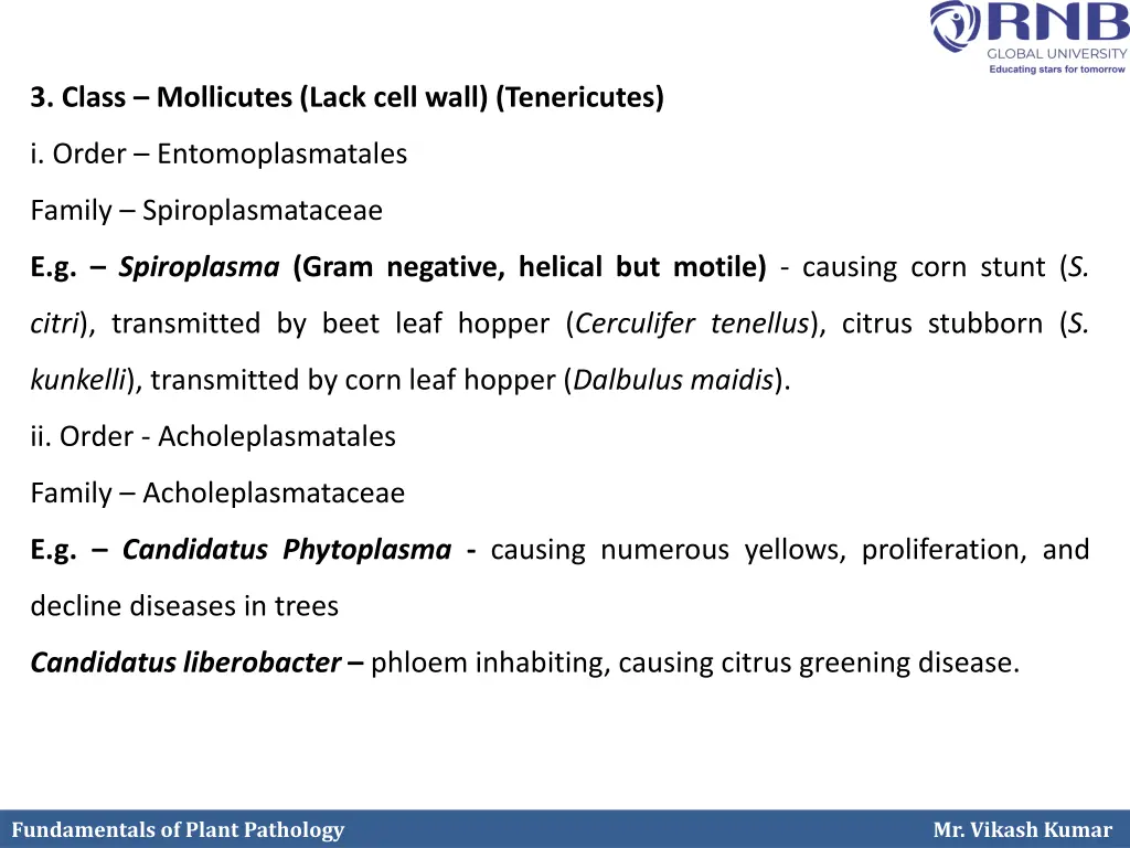 3 class mollicutes lack cell wall tenericutes