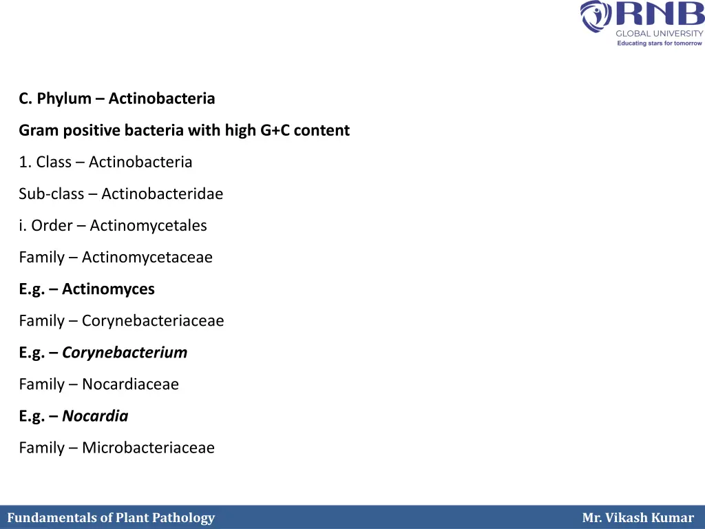 c phylum actinobacteria