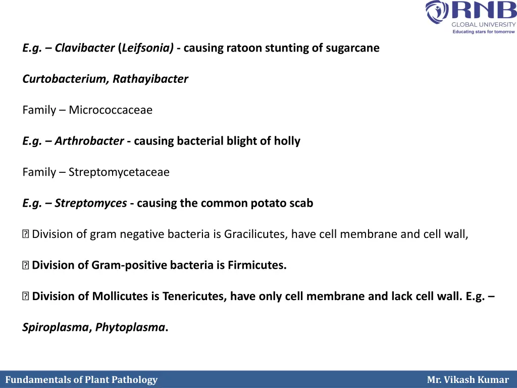 e g clavibacter leifsonia causing ratoon stunting