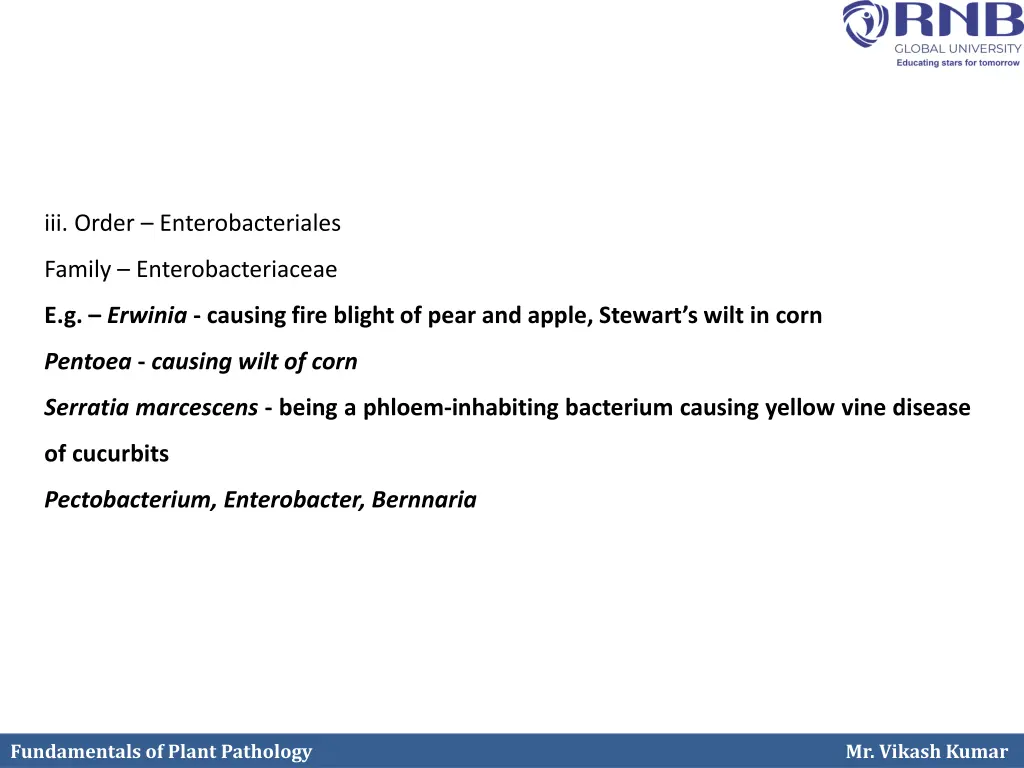 iii order enterobacteriales