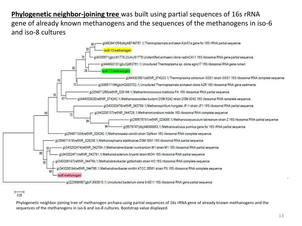 phylogenetic neighbor joining tree was built