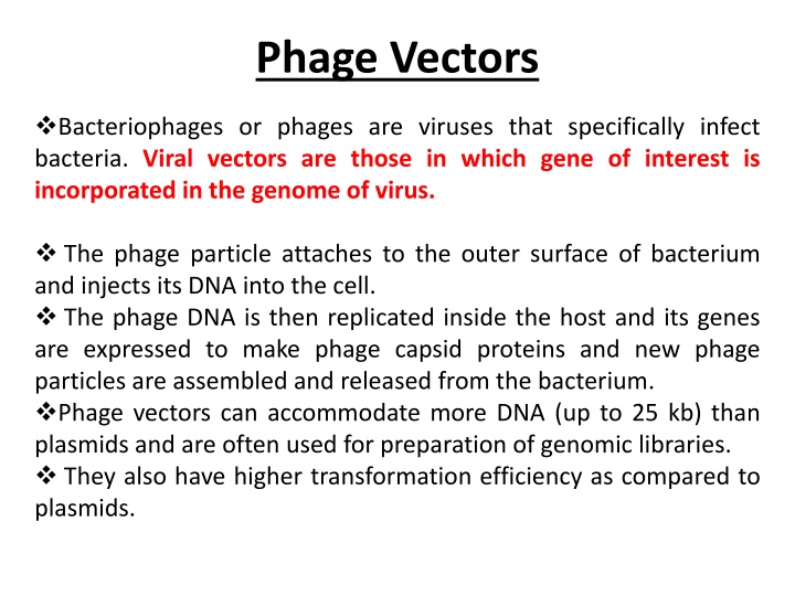 phage vectors