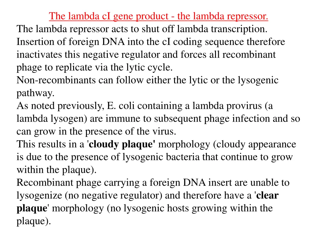 the lambda ci gene product the lambda repressor