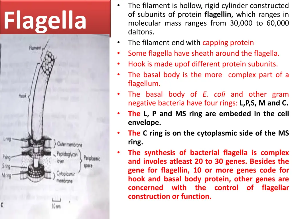 slide6