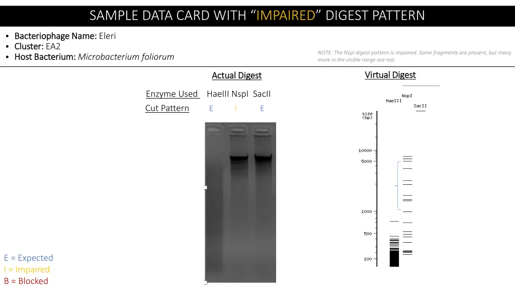 sample data card with impaired digest pattern