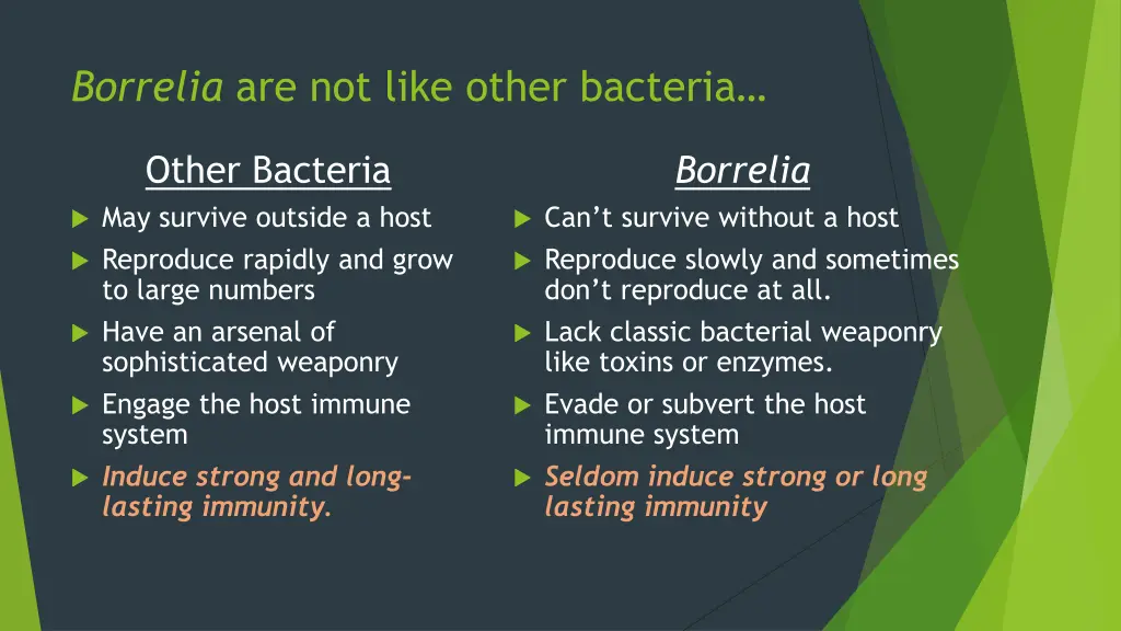 borrelia are not like other bacteria