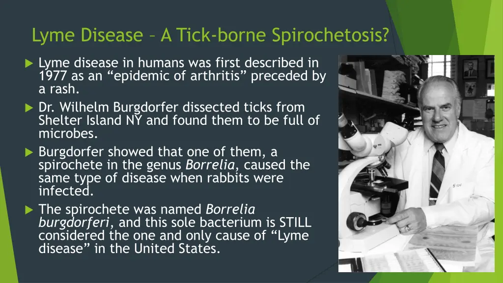 lyme disease a tick borne spirochetosis