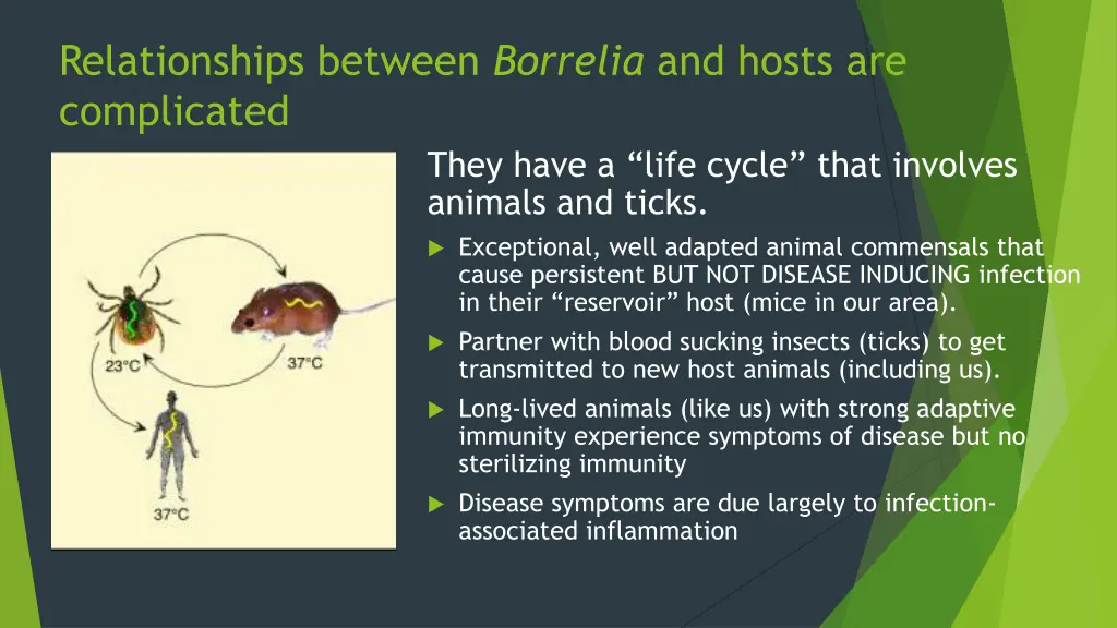 relationships between borrelia and hosts