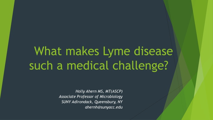 what makes lyme disease such a medical challenge