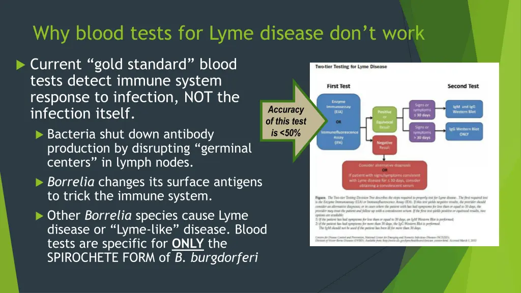 why blood tests for lyme disease don t work