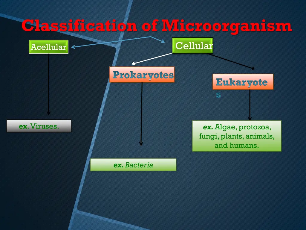 classification of microorganism