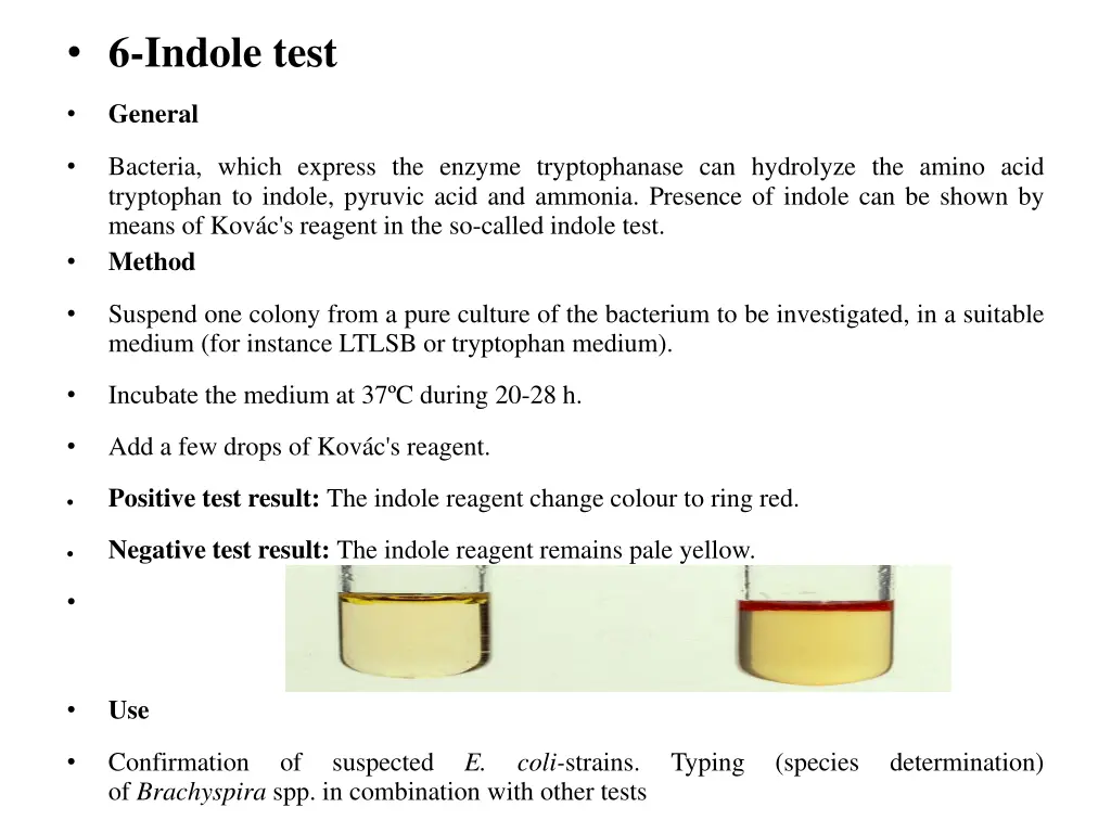 6 indole test