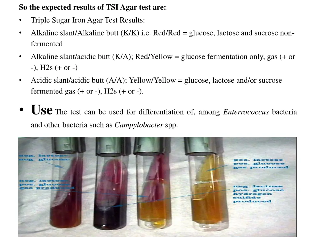 so the expected results of tsi agar test