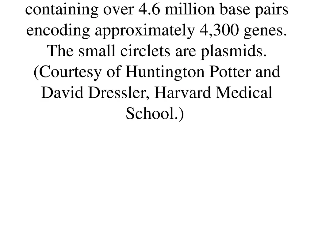 containing over 4 6 million base pairs encoding