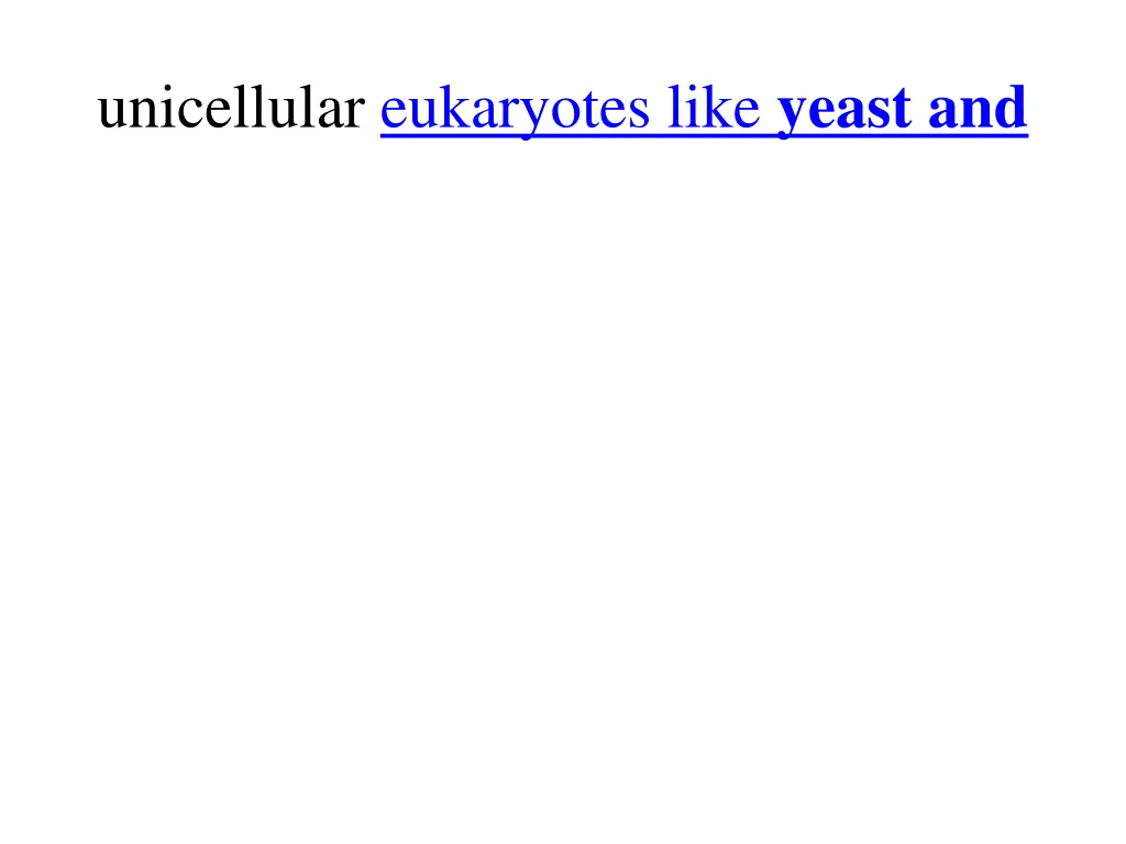 unicellular eukaryotes like yeast and