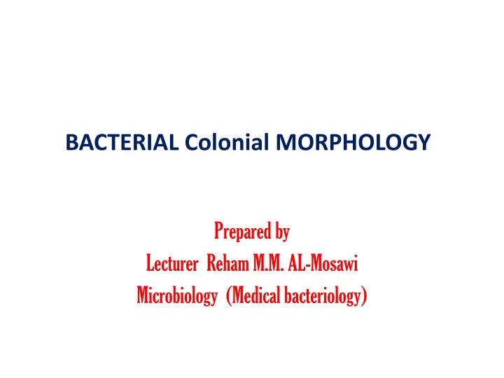 bacterial colonial morphology