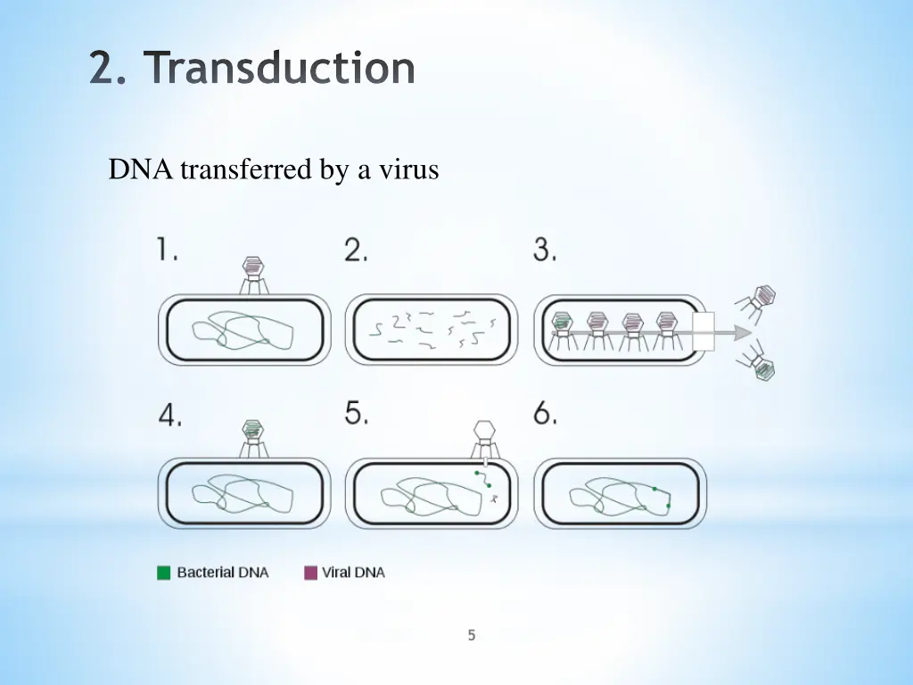 2 transduction