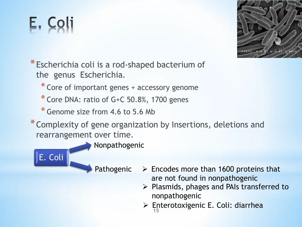 e coli