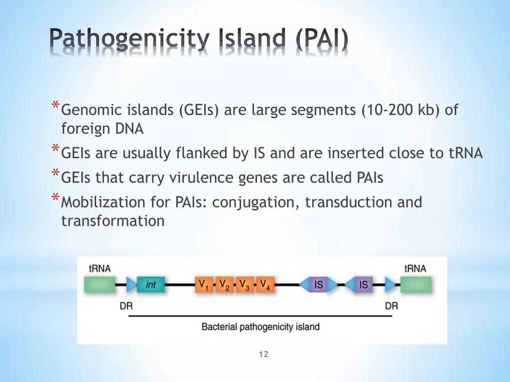 pathogenicity island pai