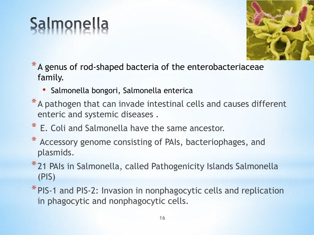 salmonella