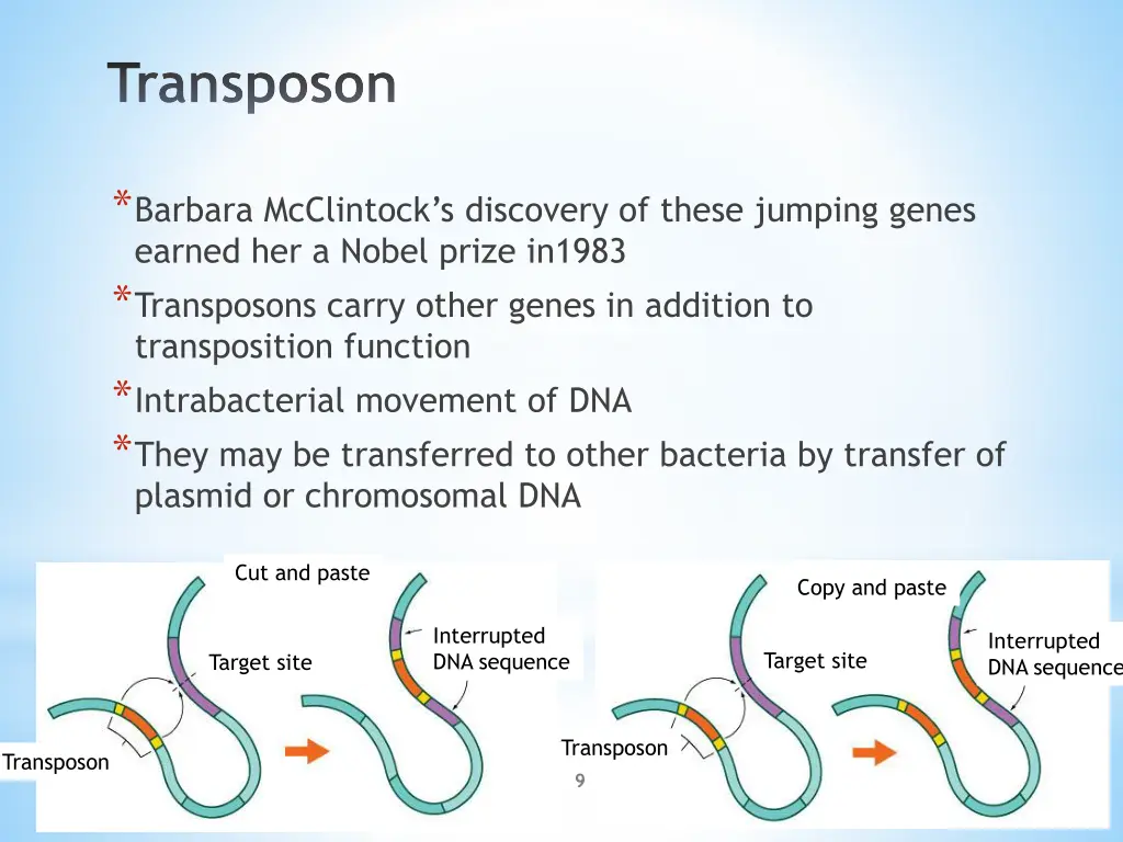 transposon