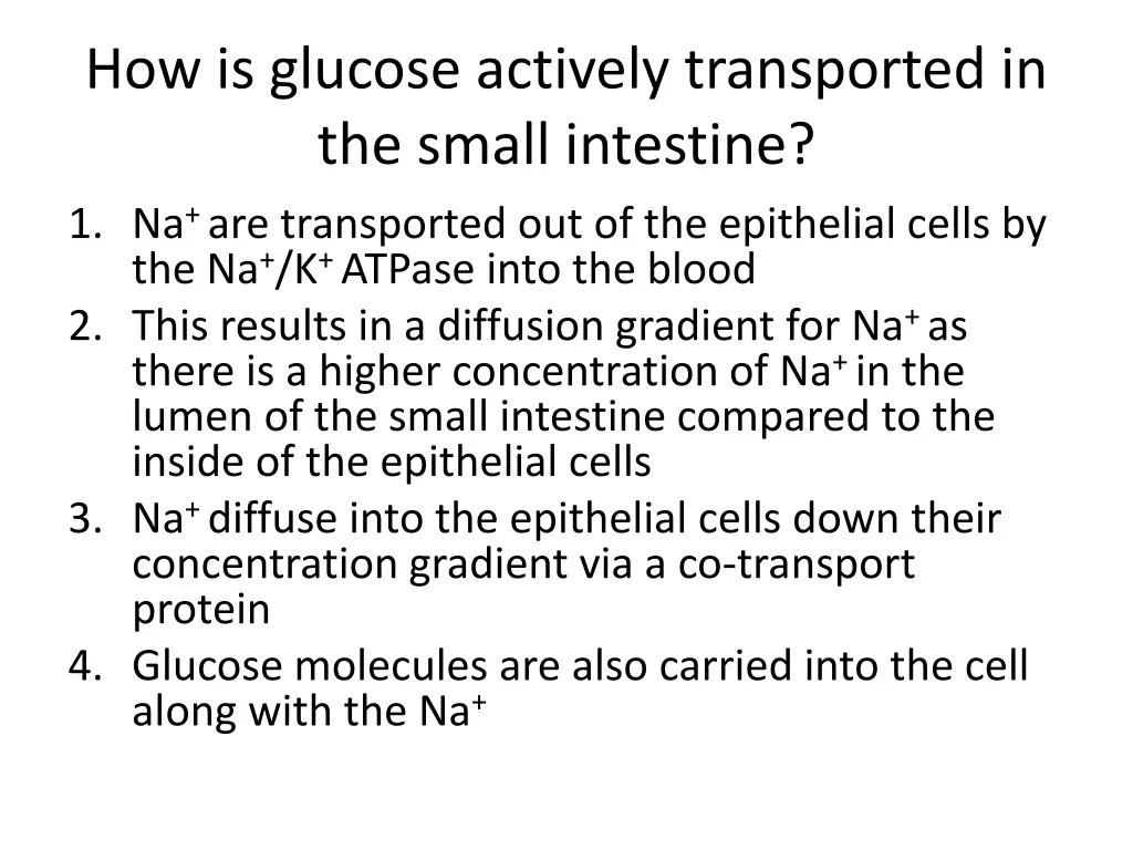 how is glucose actively transported in the small