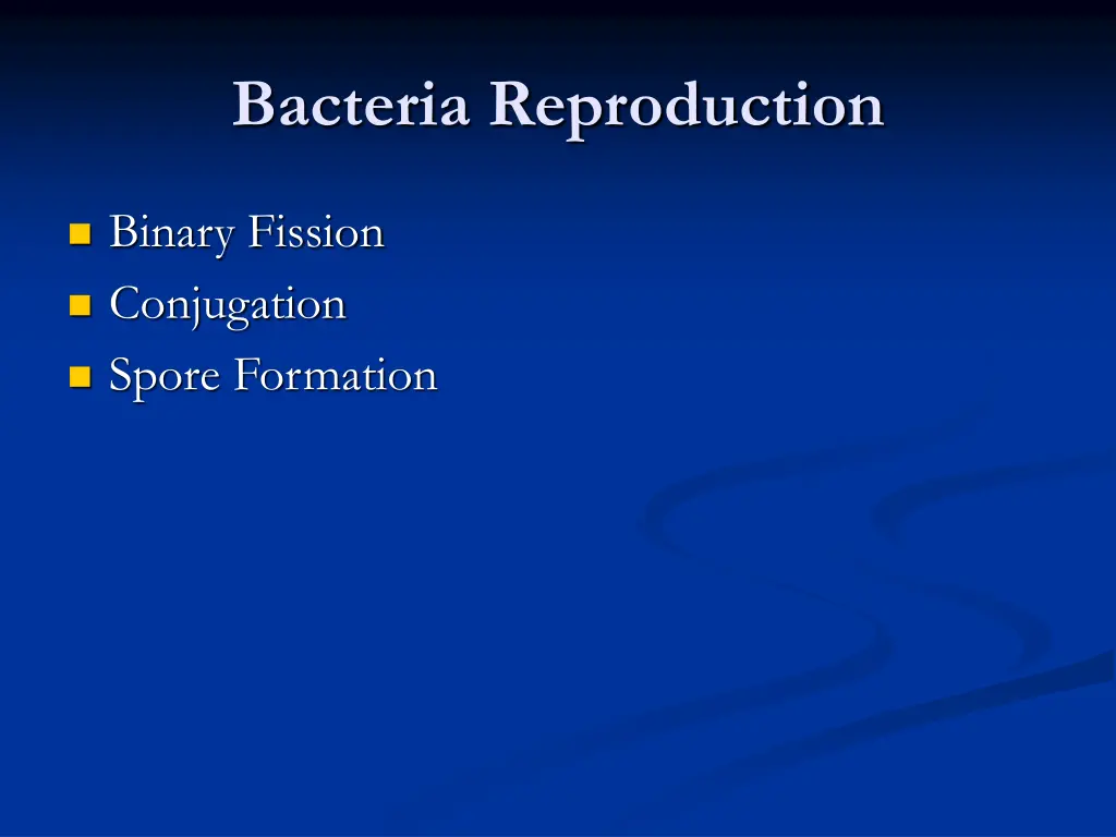 bacteria reproduction