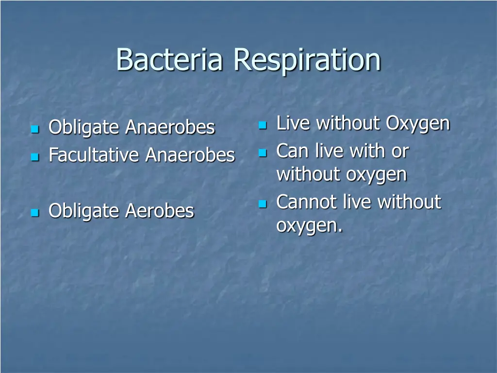 bacteria respiration