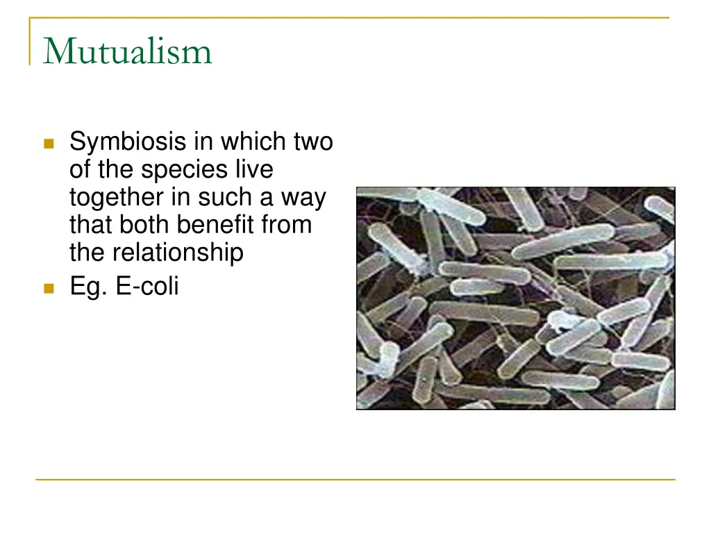 mutualism