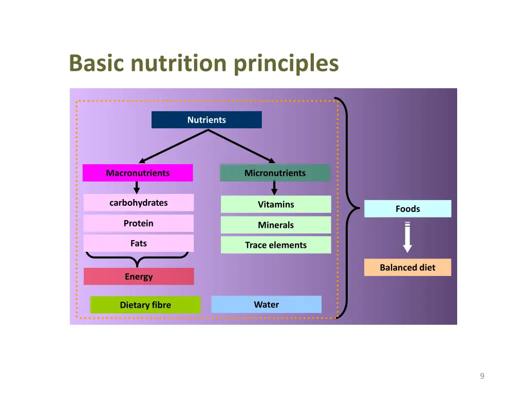 basic nutrition principles